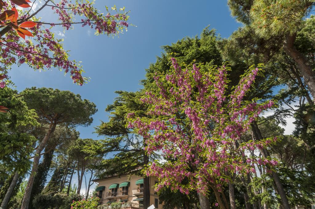 Hotel Kursaal Passignano sul Trasimeno Eksteriør bilde